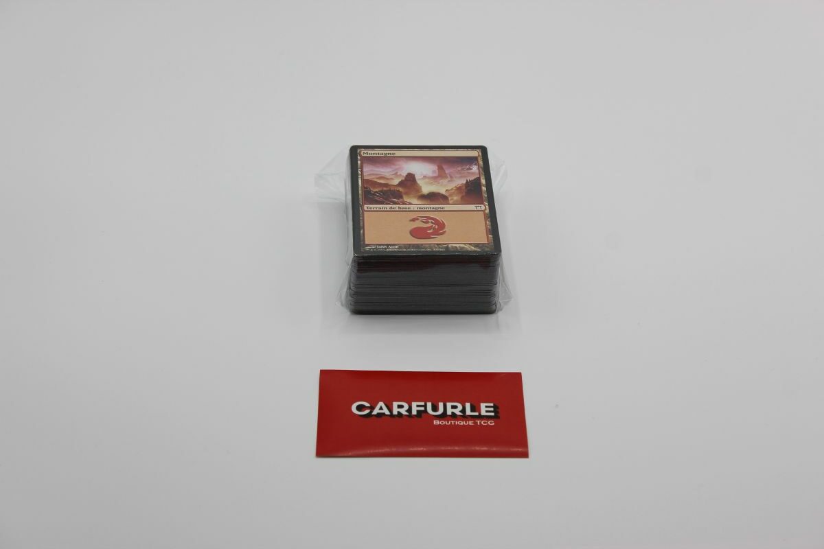 Lot de 100 cartes Magic - Terrains de base, 20 de chaque couleur - FR – Image 2
